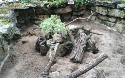 Patenschaft für Zootiere